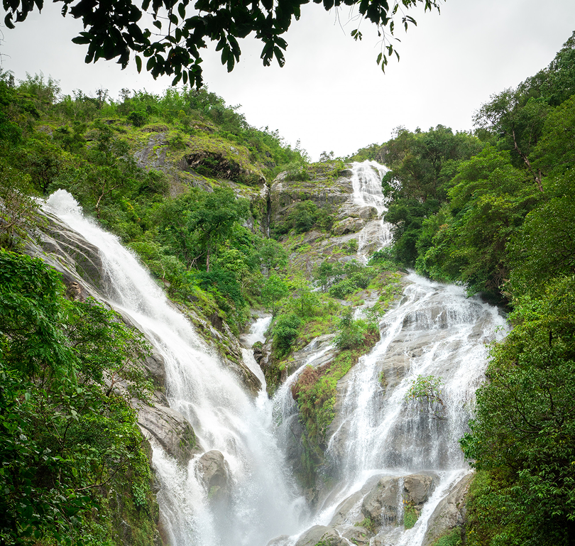 HIMCHARI NATIONAL PARK